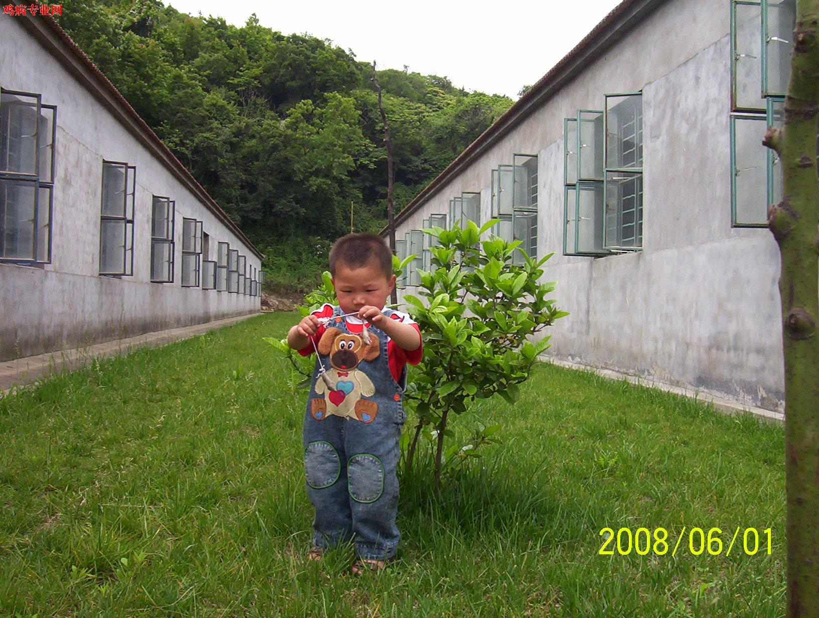 100_2119.JPG