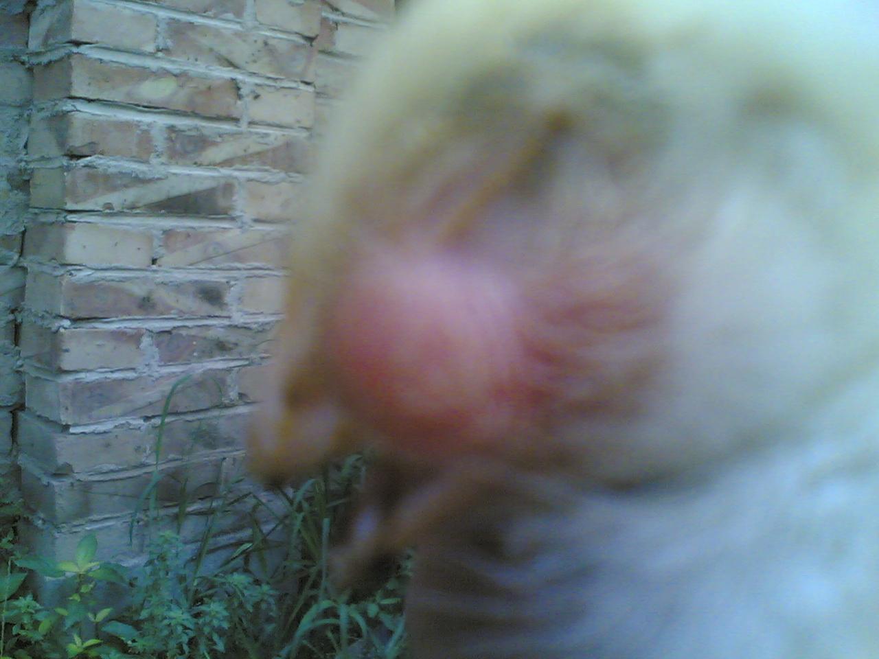 20080709(004).jpg