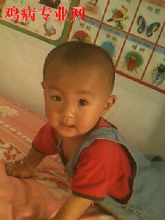 IMG0054A.jpg