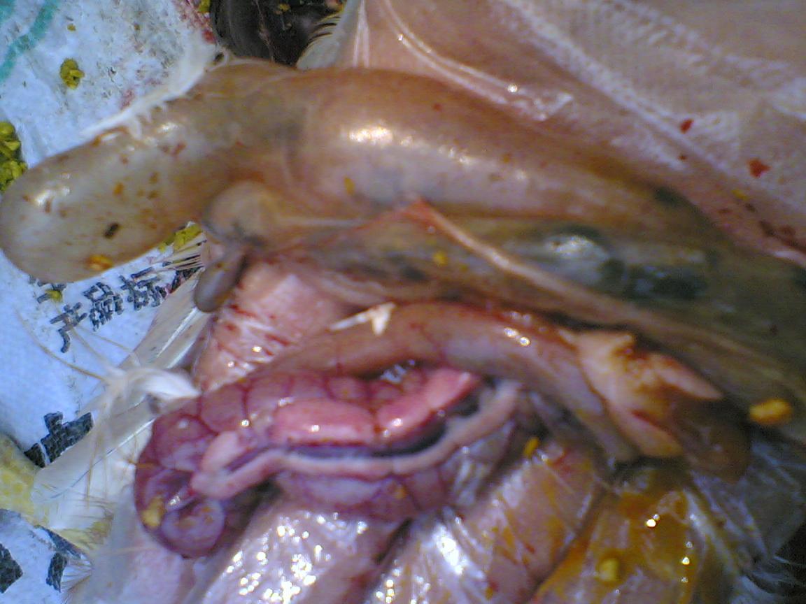 Image(020).jpg