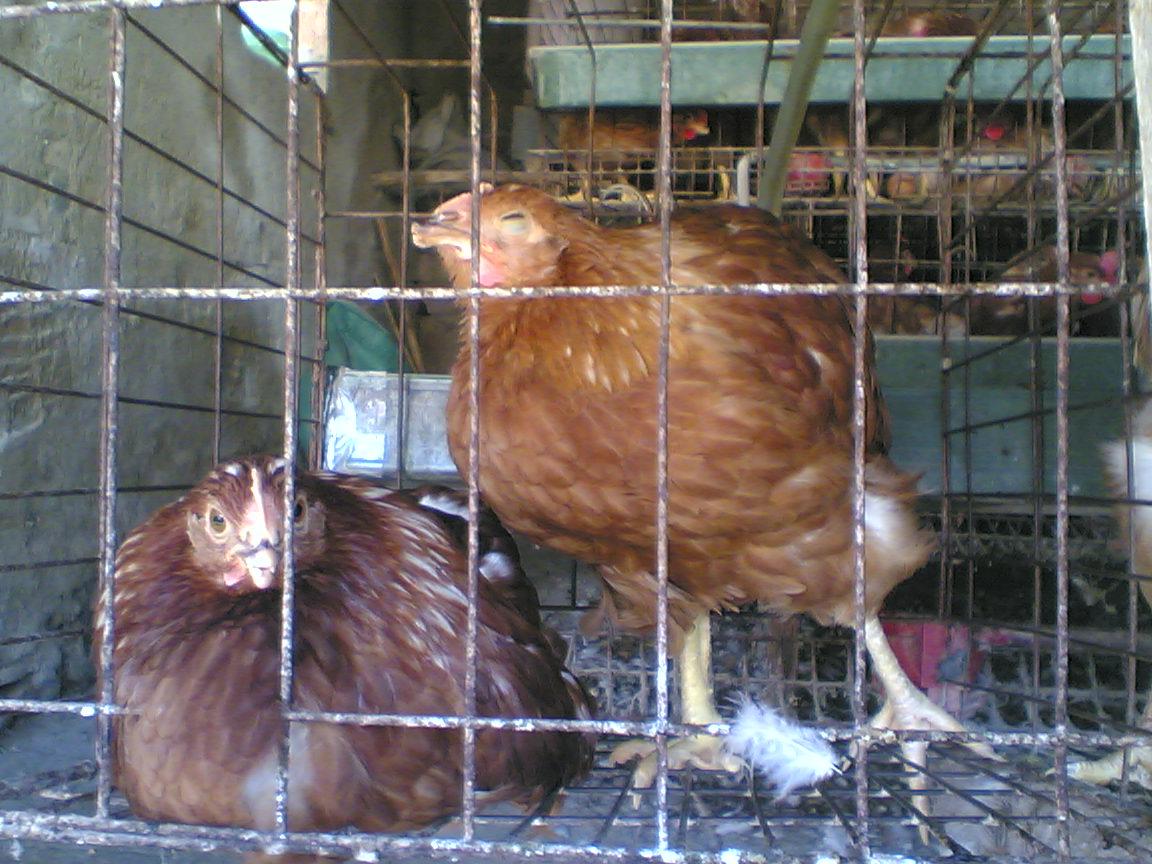 Image(001).jpg