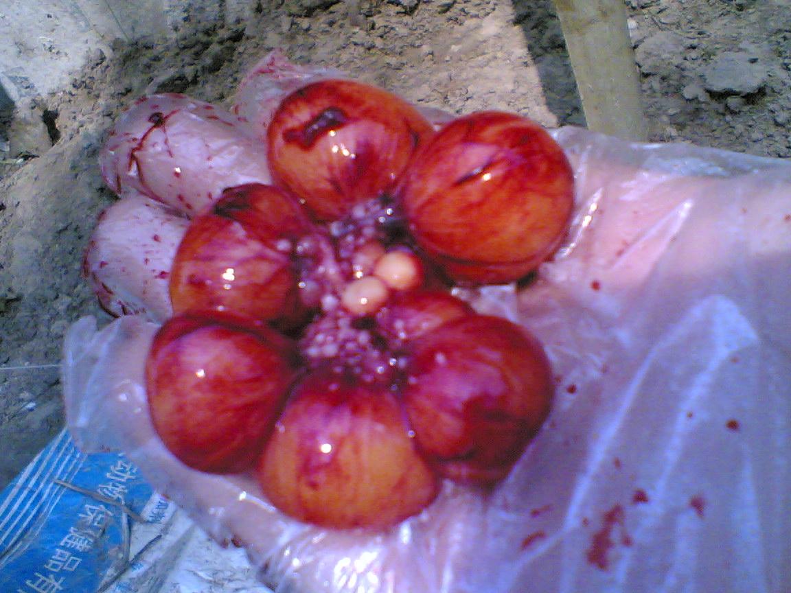 Image(018).jpg