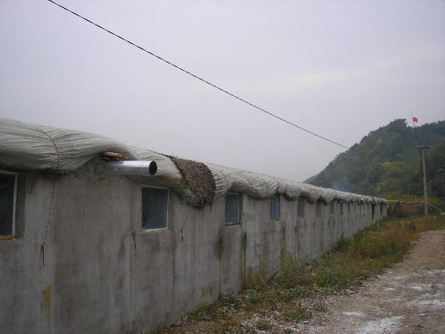 ů927ռͼƬ--ȡ 013.JPG