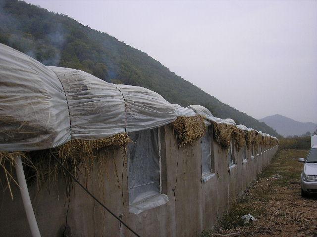 ů927ռͼƬ--ȡ 005.JPG