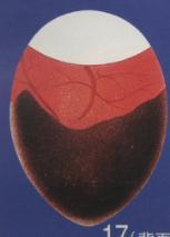 Egg19.jpg