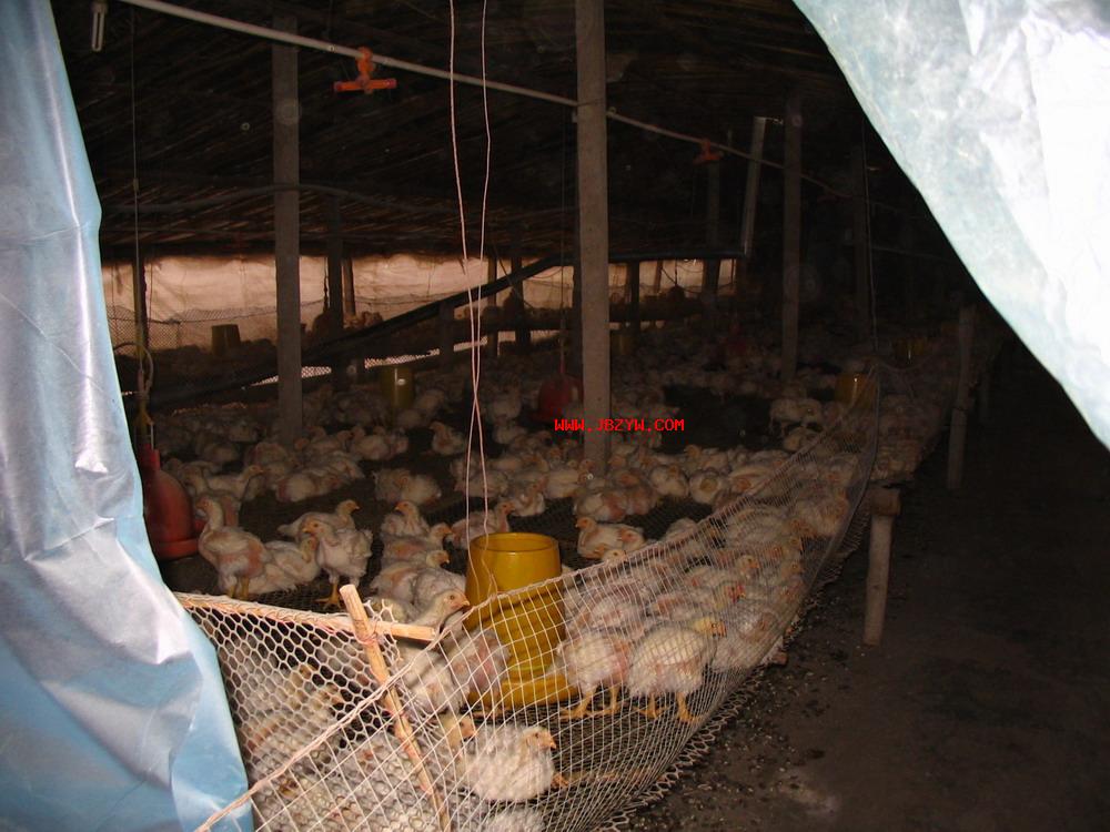 Ƭ 016.jpg