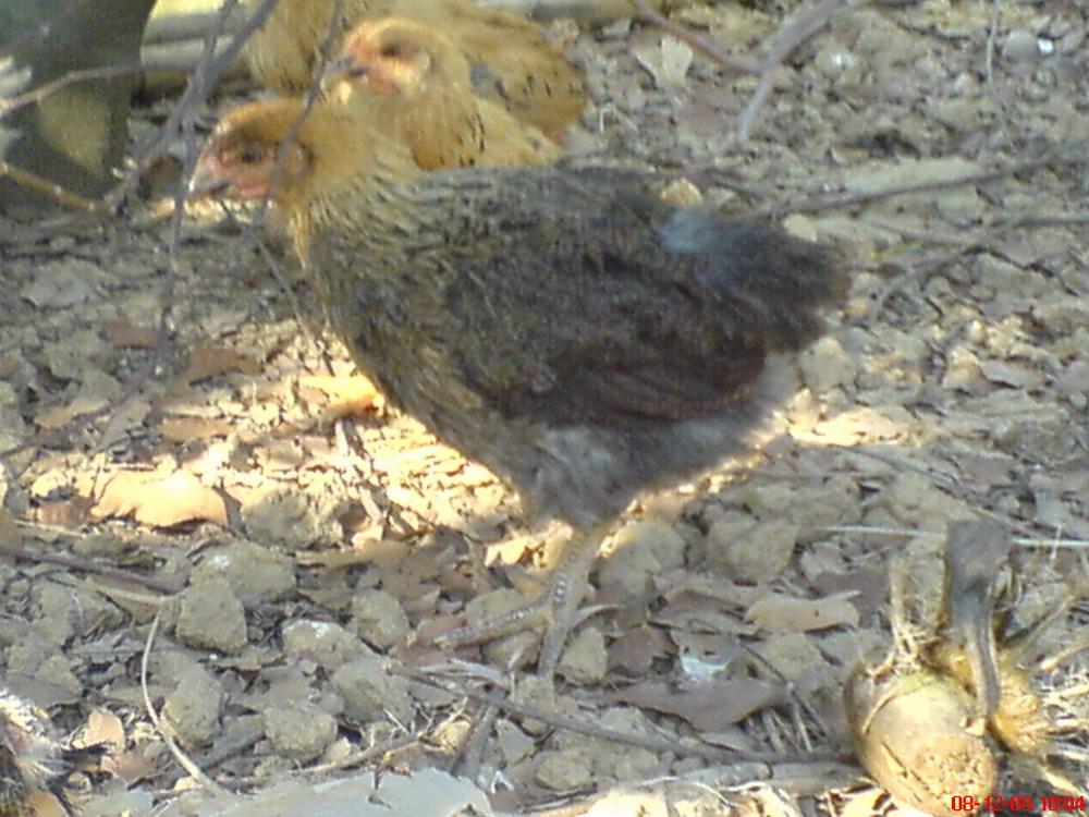 DSC00066.JPG