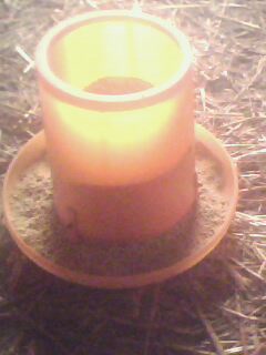 IMG0251A.jpg