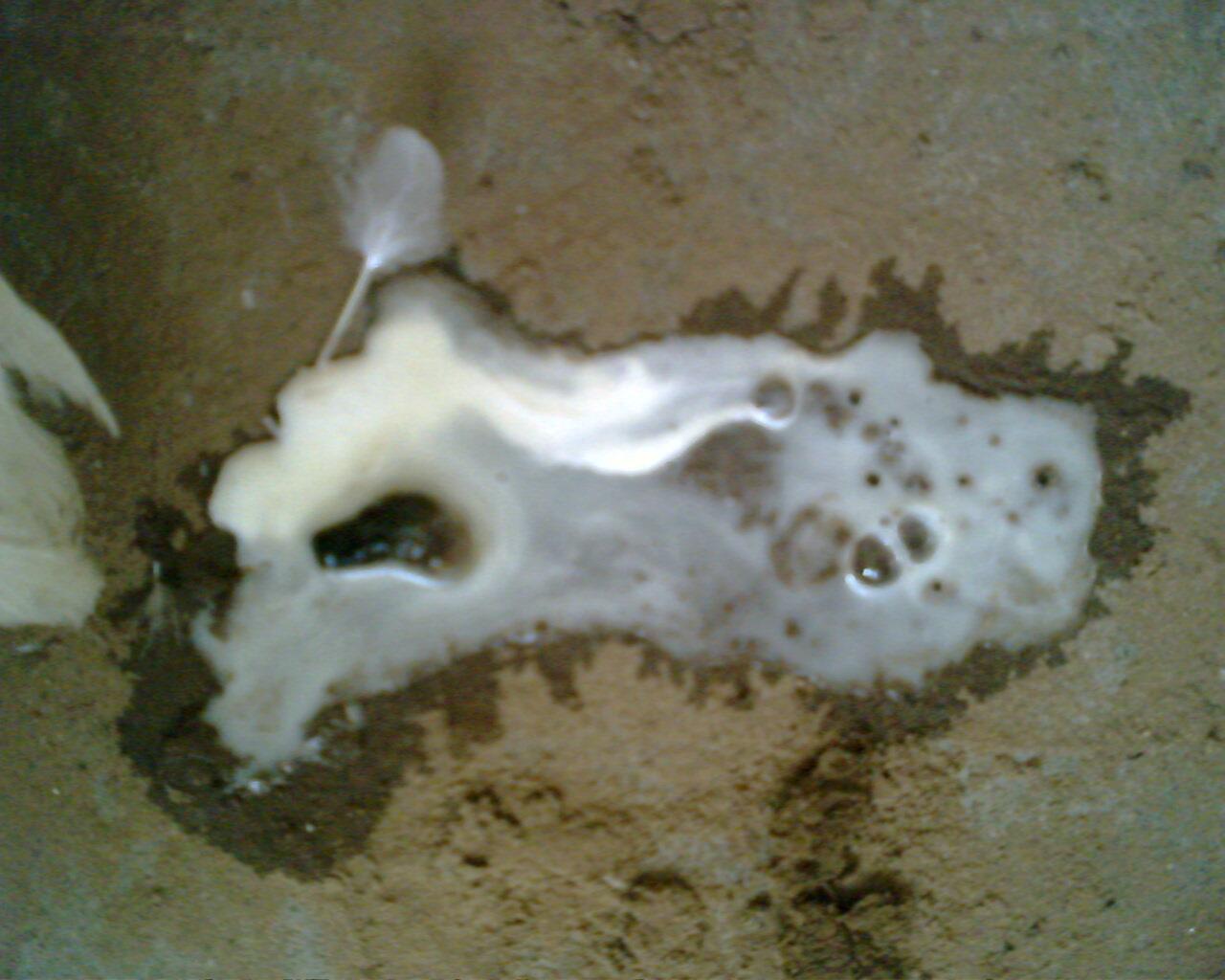 IMG0147A.jpg