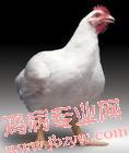 u=3288968104,4052238587&amp;fm=3&amp;gp=21.jpg