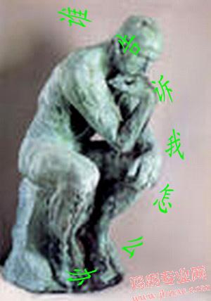 ô죿.jpg