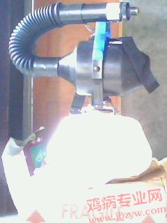IMG0047A.jpg