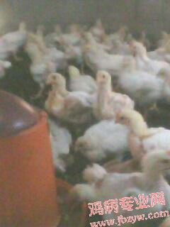 IMG0053A.jpg