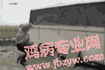 δ.gif