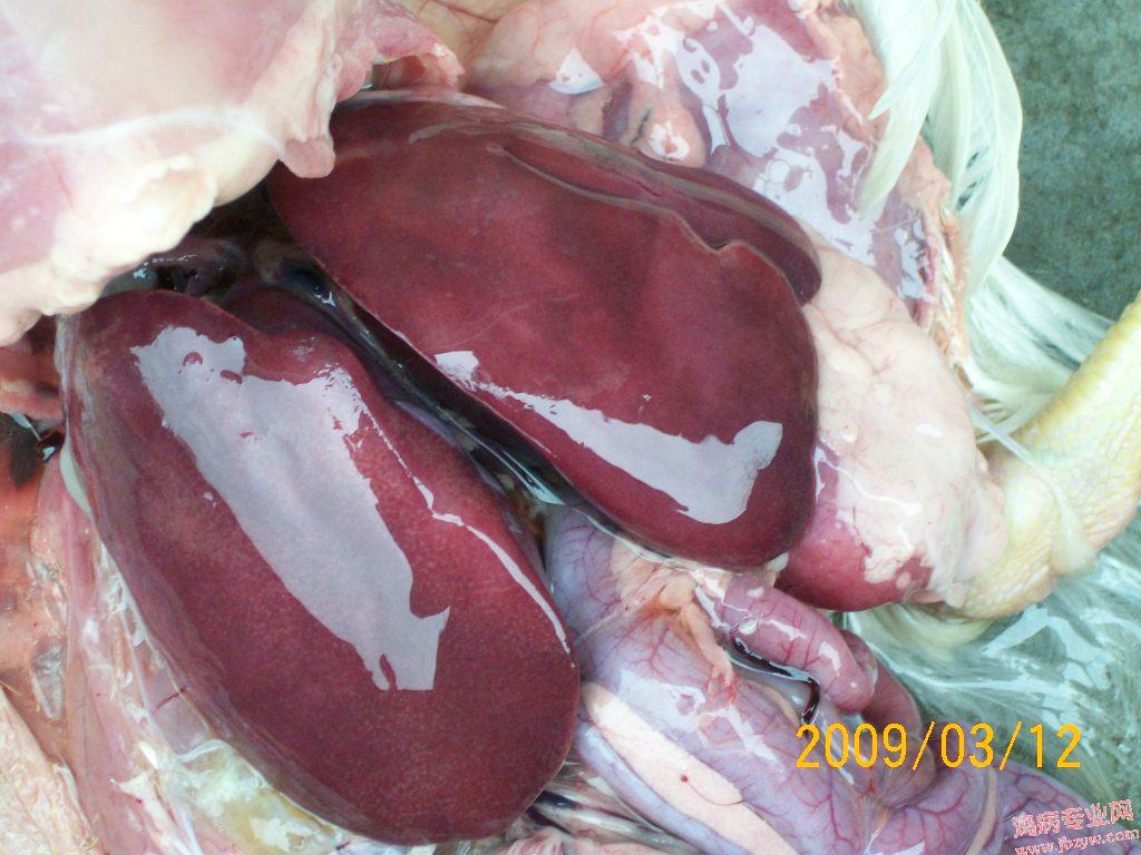 100_1728.JPG