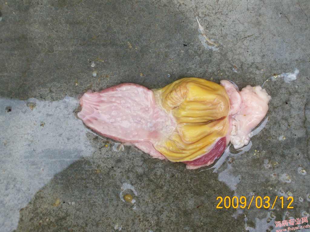 100_1738.JPG