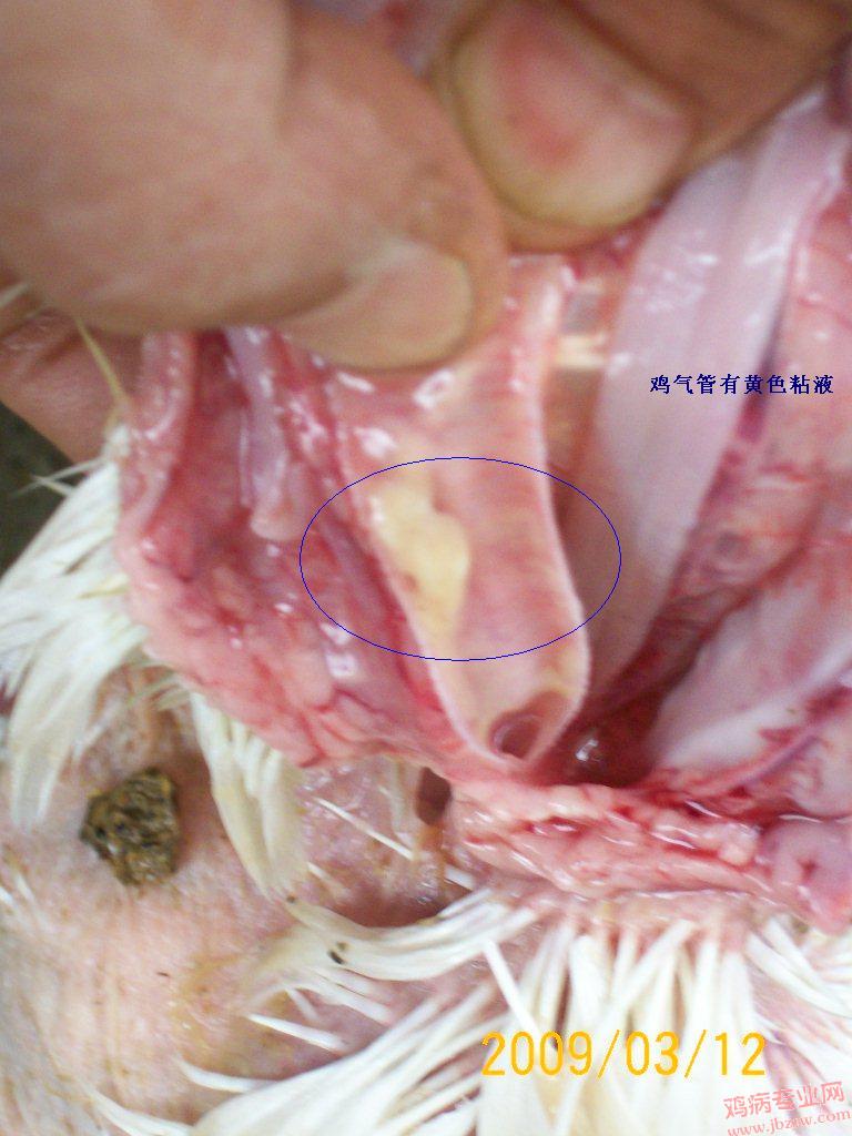 100_1727.JPG