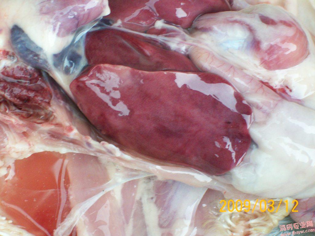 100_1747.JPG