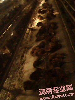 IMG0437A.jpg