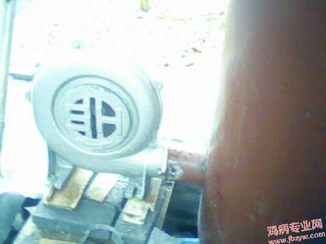 IMG0179A.jpg