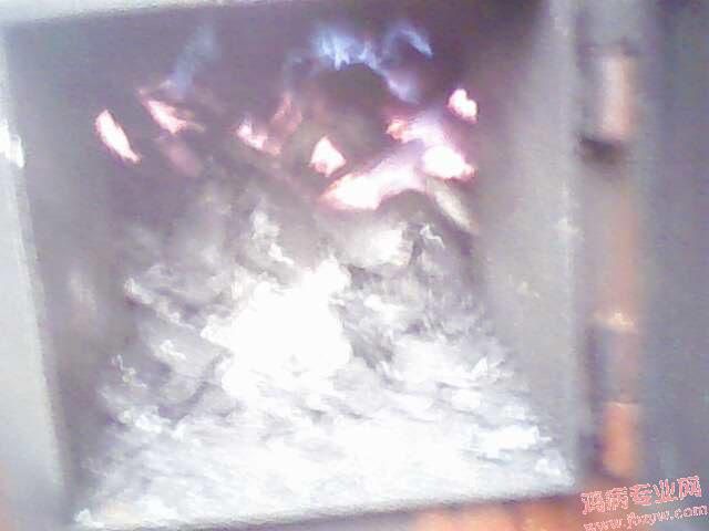 IMG0183A.jpg