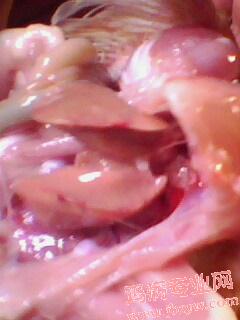 IMG0021A.jpg