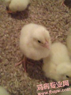 PIC_2747.jpg