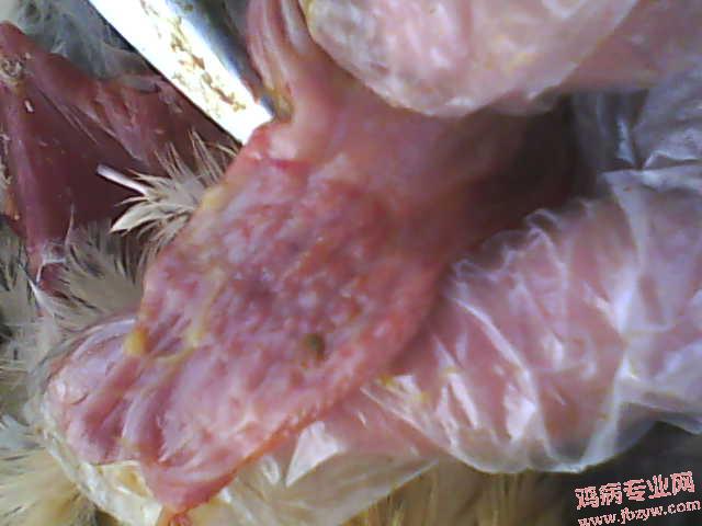 PIC_7627.jpg