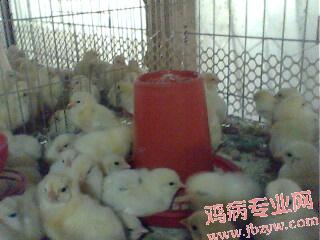 IMG0053A.jpg