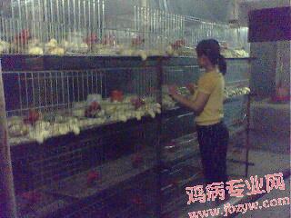 IMG0048A.jpg