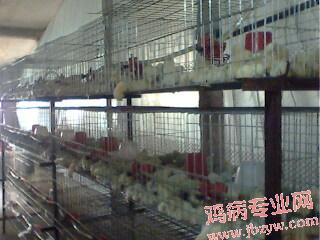 IMG0052A.jpg