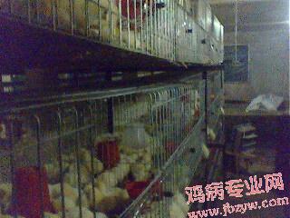 IMG0046A.jpg