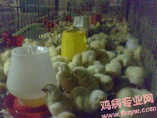 IMG0047A.jpg