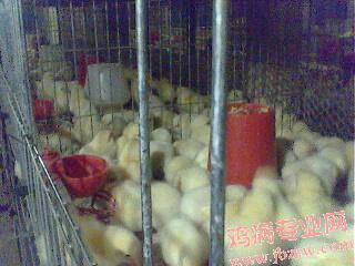 IMG0042A.jpg