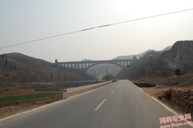258.JPG