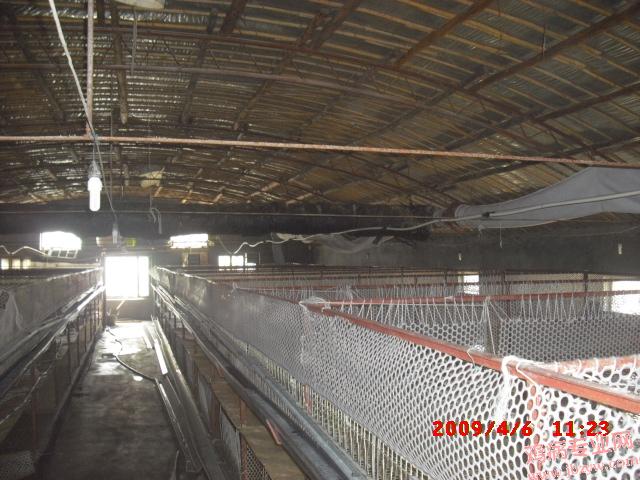 CIMG0009.JPG
