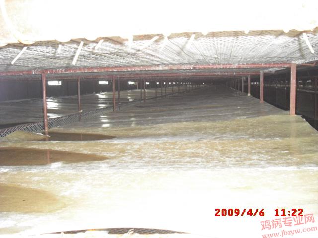 CIMG0005.JPG