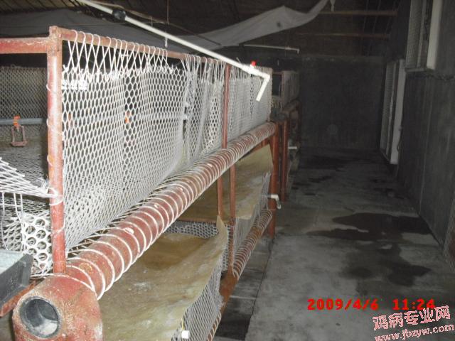 CIMG0010.JPG
