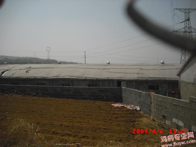 CIMG0017.JPG