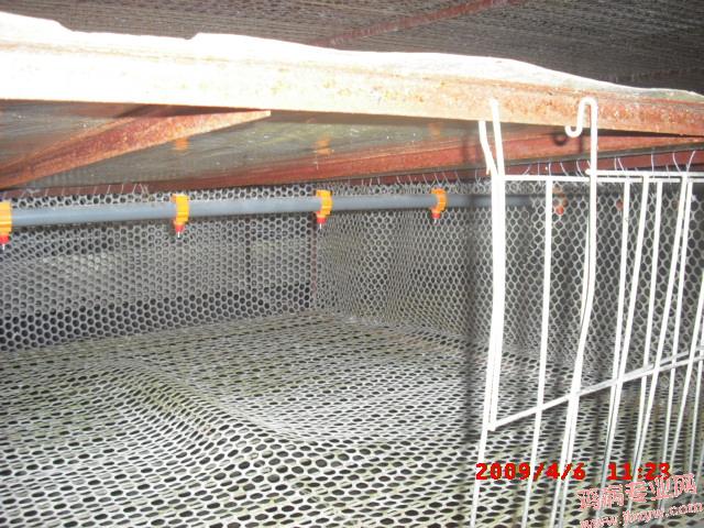CIMG0008.JPG