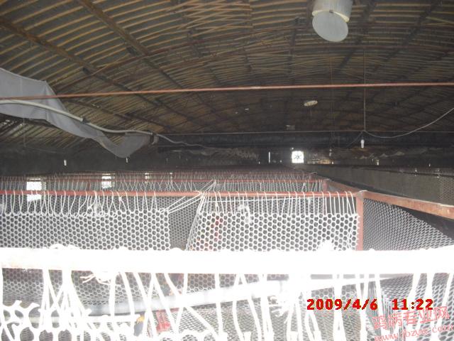 CIMG0004.JPG