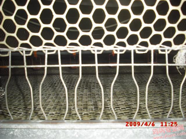 CIMG0012.JPG