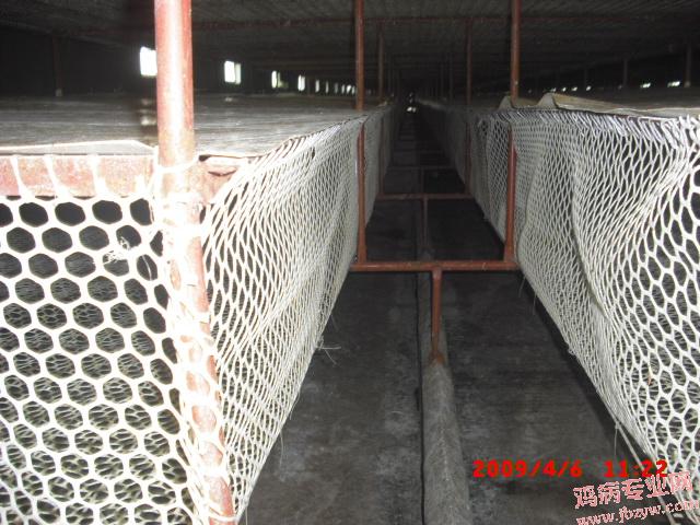 CIMG0006.JPG