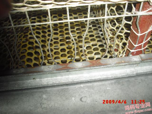 CIMG0014.JPG