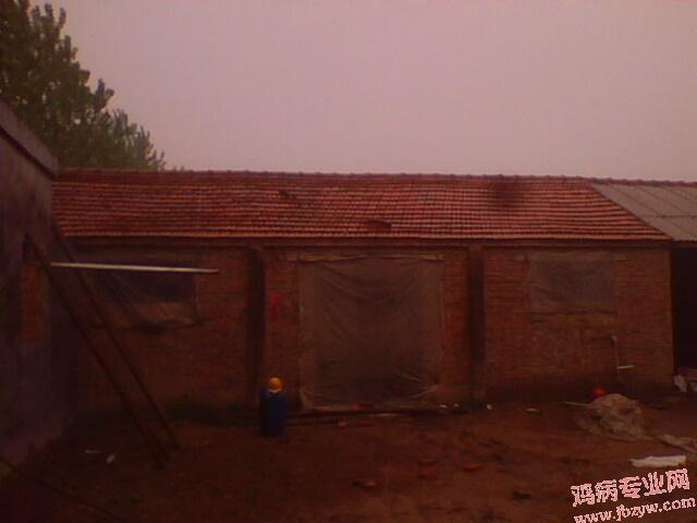 IMG0248A.jpg