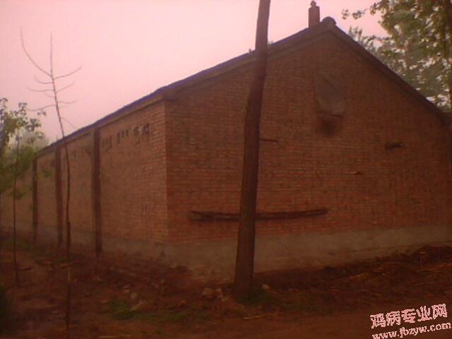 IMG0257A.jpg