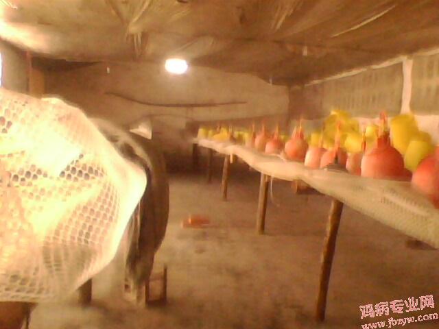 IMG0251A.jpg