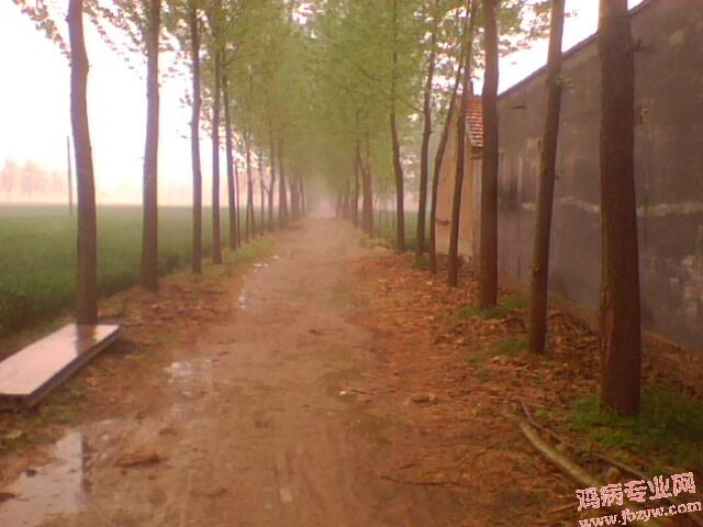 IMG0255A.jpg