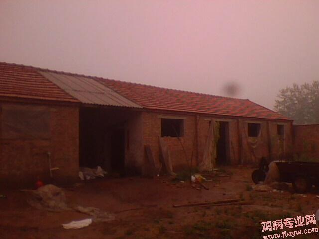 IMG0249A.jpg