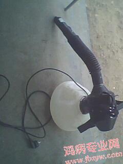 IMG0261A.jpg